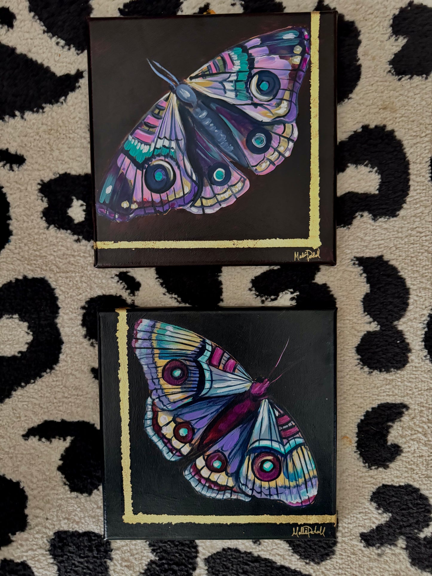 Violet Moth