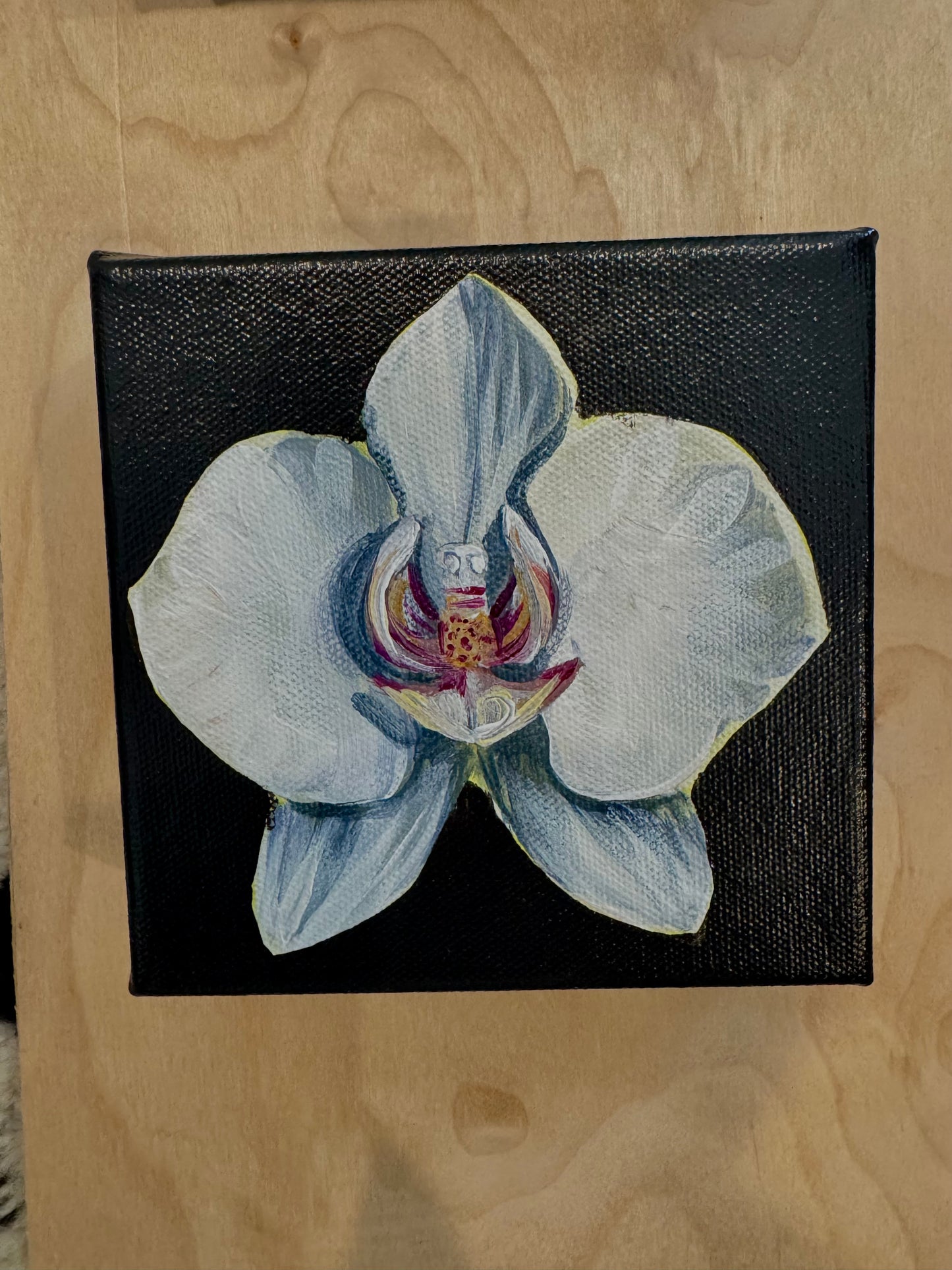 White Orchid