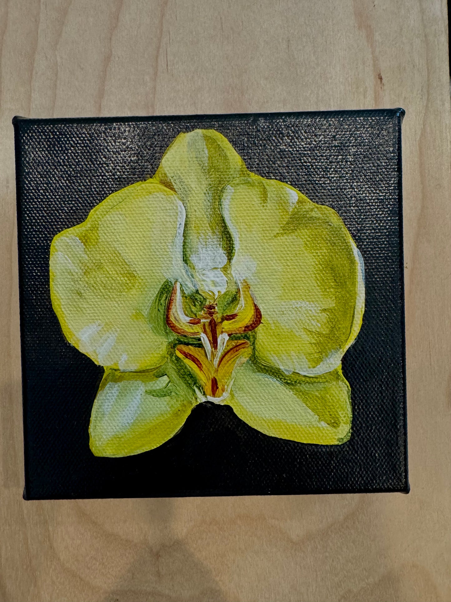 Yellow orchid