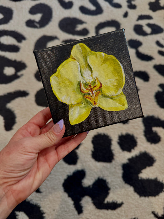 Yellow orchid