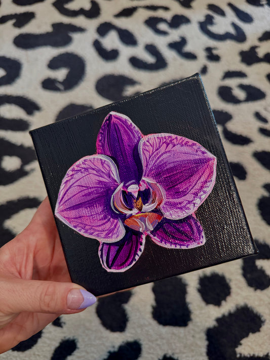 Fuschia orchid