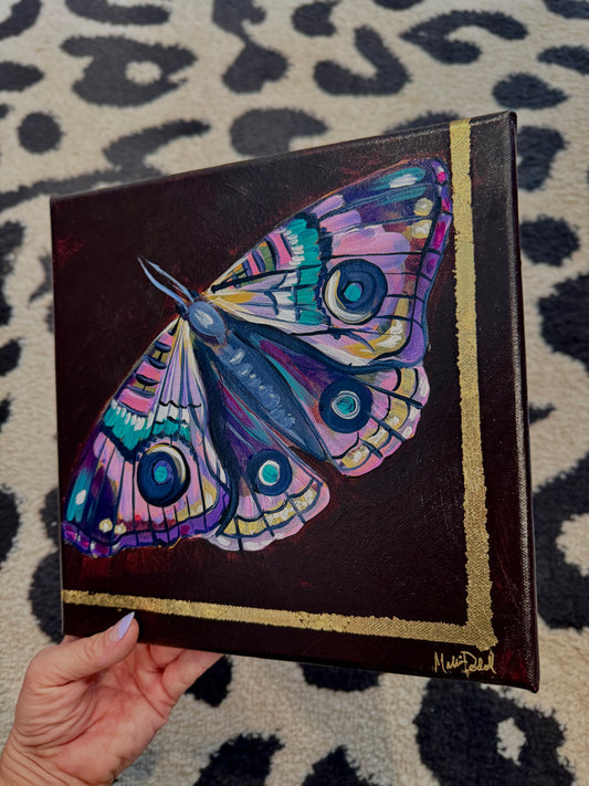 Violet Moth